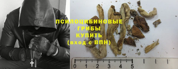 спиды Алзамай