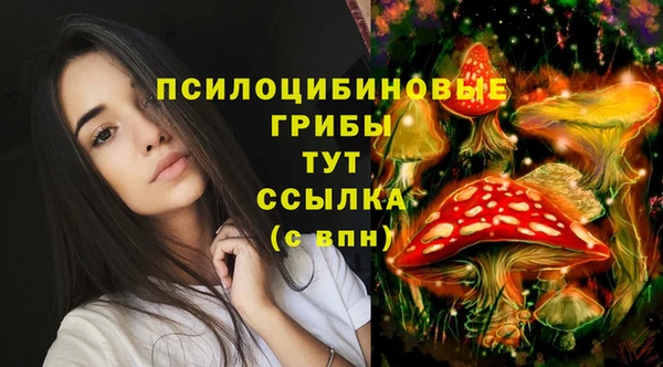 прущая мука Ростов