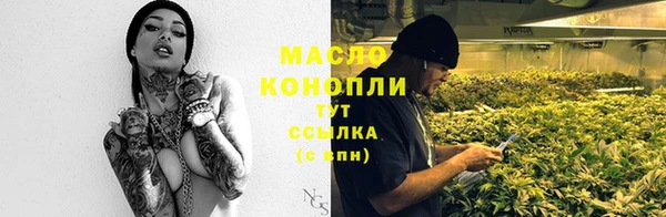 гидра Алексеевка