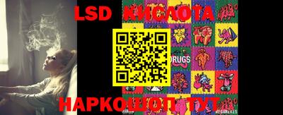 PSILOCYBIN Заволжье