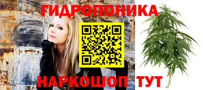 молекула духа Заводоуковск