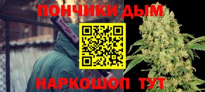 молекула духа Заводоуковск