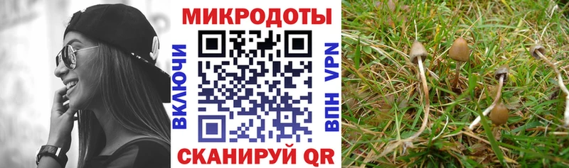Галлюциногенные грибы GOLDEN TEACHER  Туймазы 