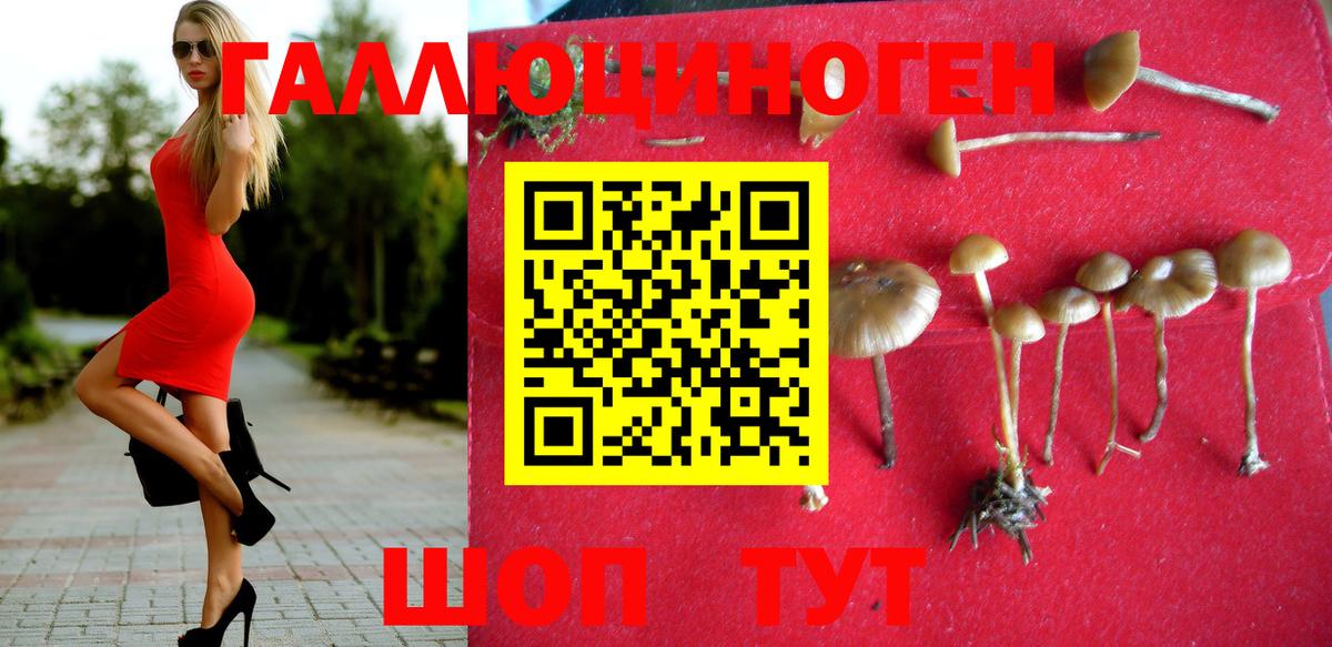 как найти закладки  Вход с VPN  Туймазы  Галлюциногенные грибы ЛСД  Галлюциногенные грибы Psilocybine cubensis 